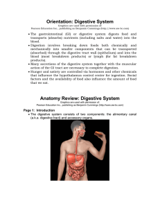 Anatomy Review: Digestive System