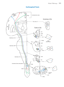 Lecture 3 Figure 1