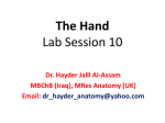 The Hand Lab Session 10