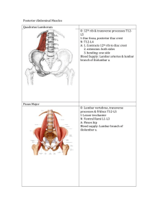 Posterior Abdominal Muscles Quadratus Lumborum O: 12th rib