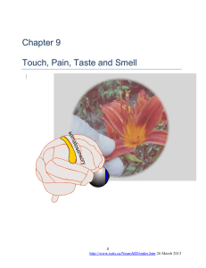 Chapter 9 Touch, Pain, Taste and Smell