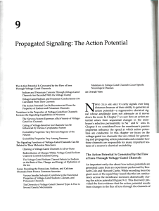 Propagated Signaling: The Action Potential