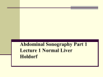 Abdominal Sonography Part 1 Lecture 1 Liver . Normal