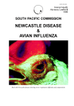 Newcastle Disease and Avian Influenza