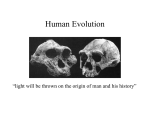 Human Evolution (Ch. 20)