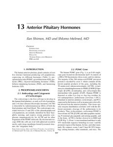 13 Anterior Pituitary Hormones