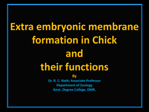 Extra Embryonic Membranes - Directorate of Higher Education, Tripura