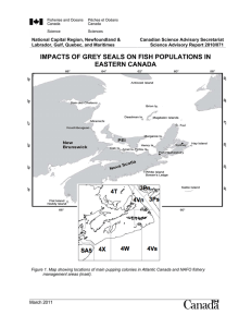 impacts of grey seals on fish populations