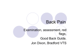 Back Pain - Bradfordvts