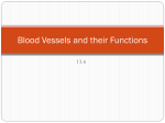 Blood Vessels and their Functions