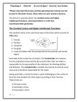Physiology 2 - Sheet #6 - Dr.Loai Al-Zgoul - Done by: Yara