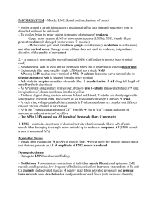 MOTOR SYSTEM – Muscle, LMC, Spinal cord mechanisms of control