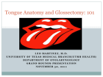 Tongue Anatomy and Glossectomy