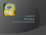 Aphasia and cortical connections