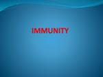 immunity - WordPress.com