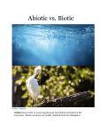 Abiotic Biotic