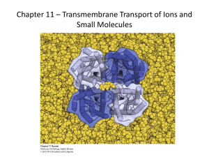 Transmembrane Transport of Ions and Small Molecules