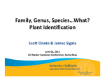 Family, Genus, Species…What? Plant Identification