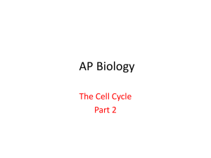 Cell Cycle part 2 - Fort Thomas Independent Schools
