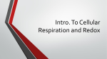 Intro. To Cellular Respiration and Redox