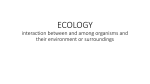 ECOLOGY interaction between and among organisms and their