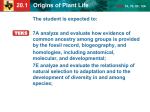 20.1 Origins of Plant Life TEKS 7A, 7E, 8C, 12A