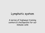 Lymphatic system - Seattle Central