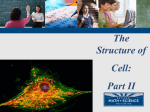 Cell Structure PPT Part 2