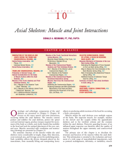 Chapter 10 - Axial Skeleton: Muscle and Joint Interactions