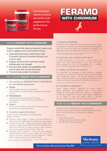 Concentrated vitamin, mineral and amino acid supplement for