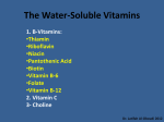 The Water-Soluble Vitamins