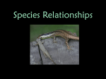 Species Relationships PPT