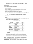 pathology of the mouth and salivary glands