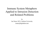 Immune System Metaphors Applied to Intrusion Detection