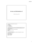 Amino acid Metabolism 2