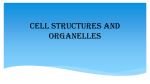 Cell Structures and Organelles