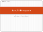 Landfill Ecosystem