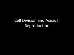 Cell Division and Asexual Reproduction