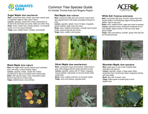 Common Species in GTA and Niagara and Common Invasive Species