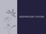 RESPIRATORY SYSTEM FOR USE WITH LAB