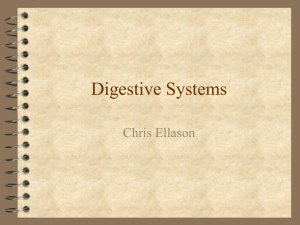 Digestive Systems - Faculty Web Sites