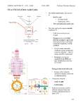 Citric Acid Cycle