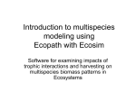 Introduction to EwE Ecopath with Ecosim