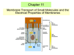 Active transport