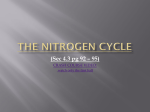 4.3 Nitrogen cycle - Lighthouse Christian Academy