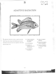 ADAPTIVE RADIATION