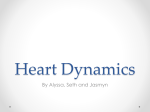Heart Dynamics