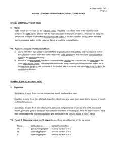 Cranial Nerves According to Functional Components