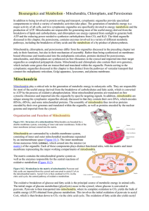 Mitochondria, Chloroplasts, and Peroxisomes