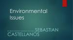 Environmental Issues - Ana Lilia Acosta Patoni